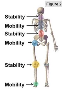 Stability skeleton